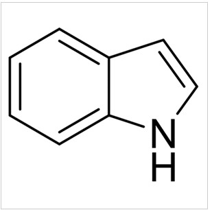 吲哚|Indole|120-72-9|Greagent|CP