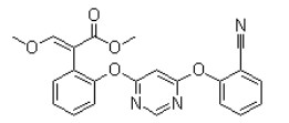 嘧菌酯131860-33-8