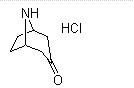 去甲托品酮盐酸盐25602-68-0