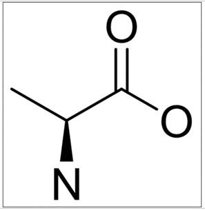 L-丙氨酸