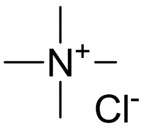 四甲基氯化铵|Tetramethyl Ammonium Chloride|75-57-0 四甲基氯化铵|Tetramethyl Ammonium Chloride|75-57-0