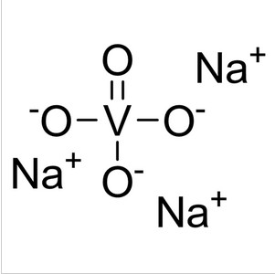 原钒酸钠|Sodium Orthovanadate|13721-39-6